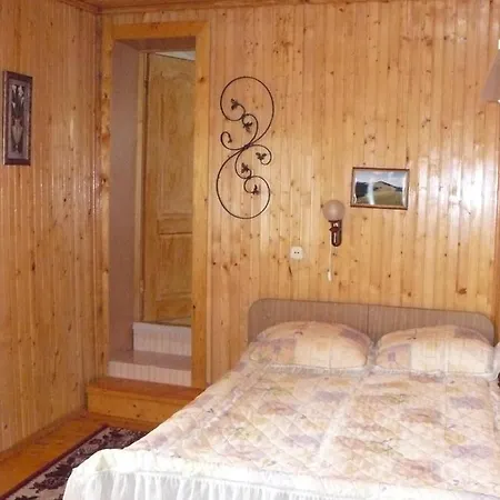 Саламандра Гостинний Двір 2* ירמכה